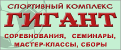 Стадион Гигант